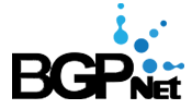 BGP Net logo